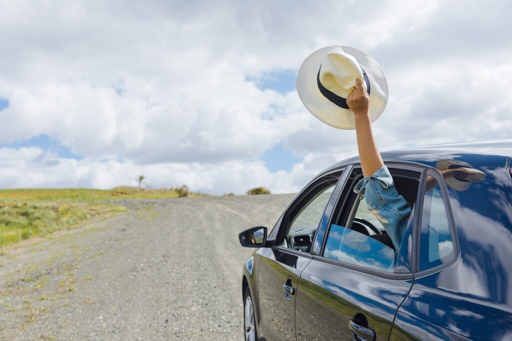 自然の中を車が走っている